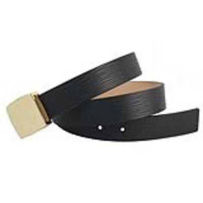 Louis Vuitton Belts-134